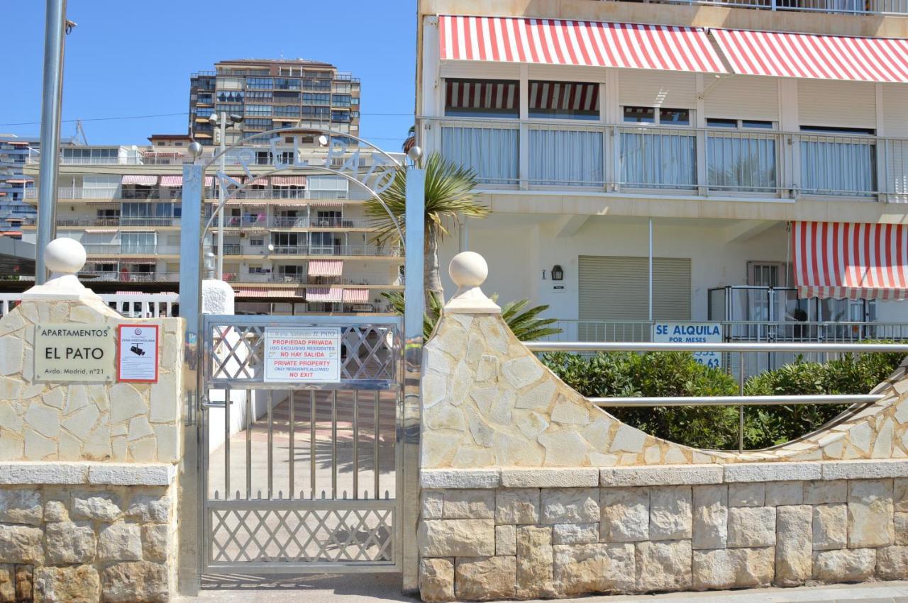 El Pato Primera Linea Benidorm Exteriör bild